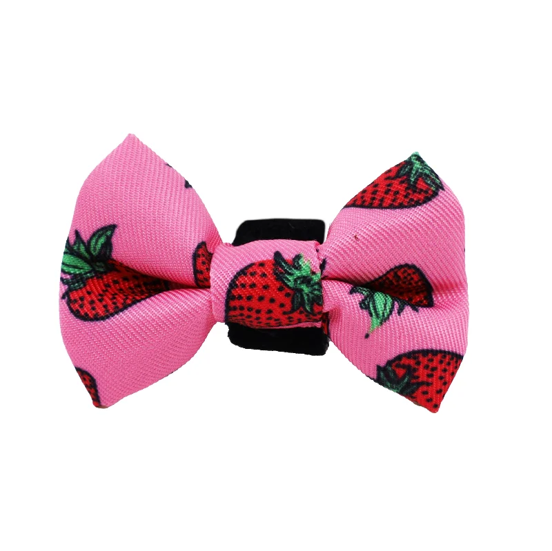 - Cat anti-jump window safety netStrawberries: Cat Bow Tie