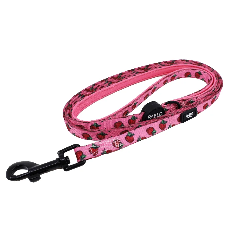 - Car dog seat beltStrawberries: Cat Leash