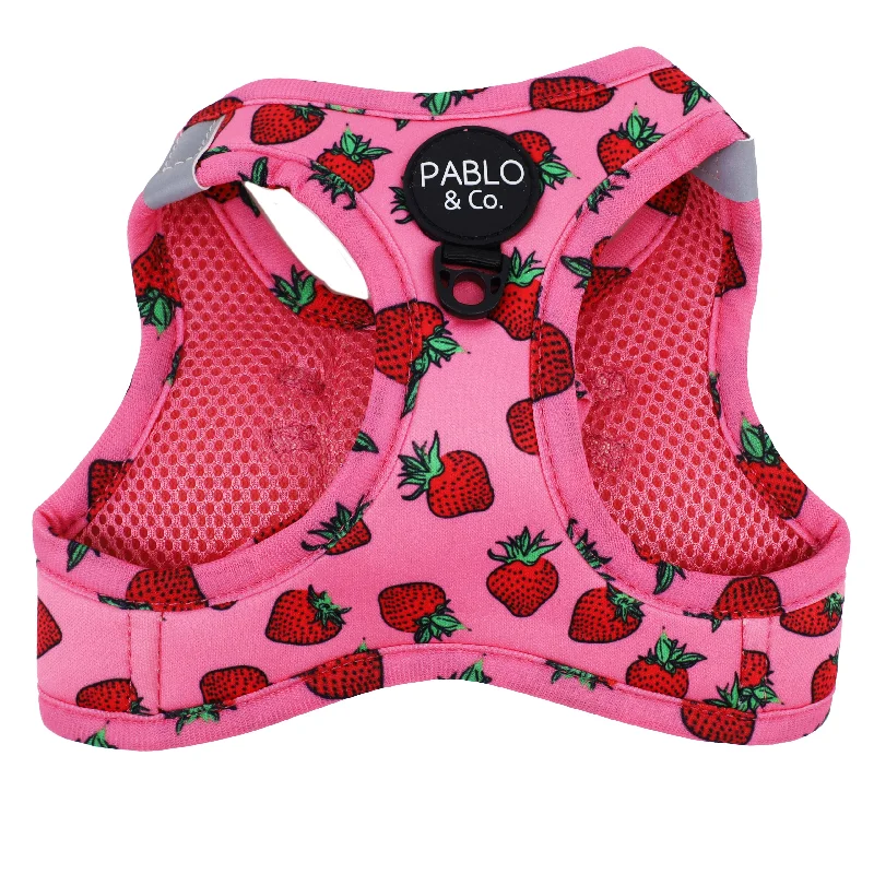 - Elderly dog ​​joint care mattressStrawberries: Step In Cat Harness