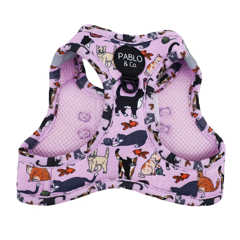  -Non-contact cat thermometerMeow Purple: Step In Cat Harness