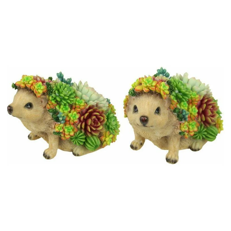 - Pet vitamin complex nutrition tabletsGarden Hedgehog - Succulents