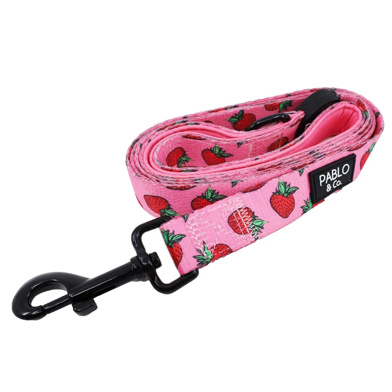 - Teething and chewing toys for puppiesStrawberries: Dog Leash