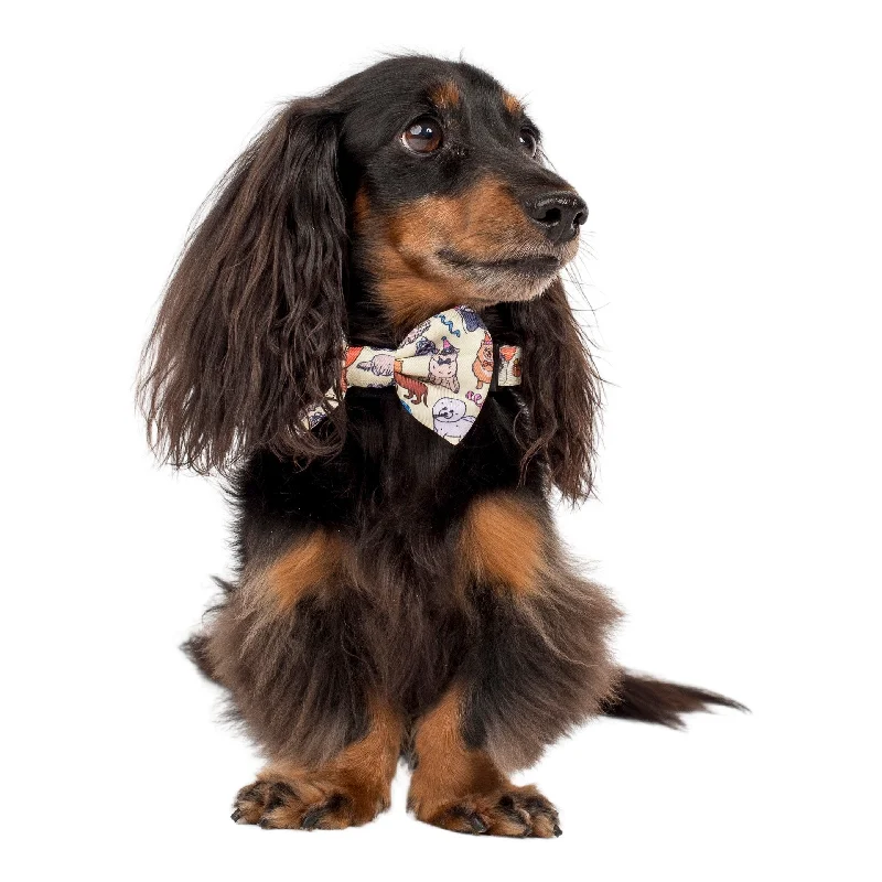 - Cat hair ball removal and hair removal creamParty Dawgs: Bow Tie