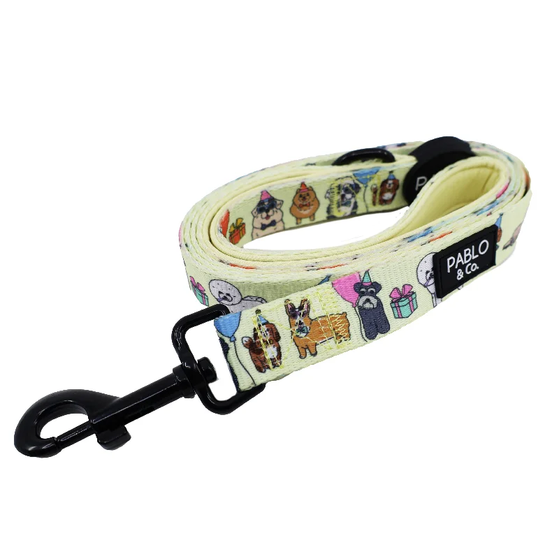 - Durable nylon dog leash wholesaleParty Dawgs: Dog Leash