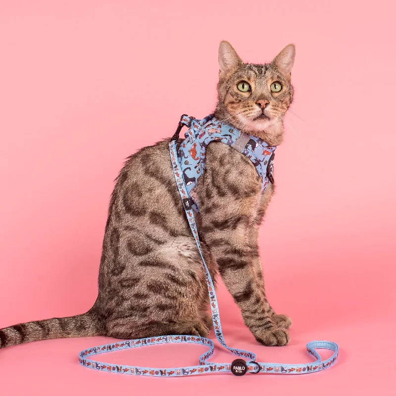 - Pet tear stain cleaning wipesMeow Blue: Step In Cat Harness