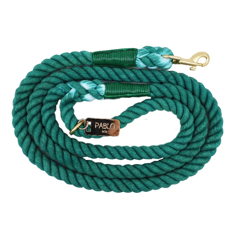 - Automatic temperature adjustment cat bedRope Leash - Pine Green