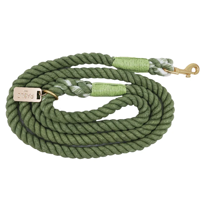 - Postoperative pet anti-licking Elizabethan collarRope Leash - Sage