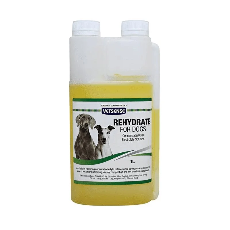 - Dog disposable foam shower gelVetsense Rehydrate Dog 1Ltr