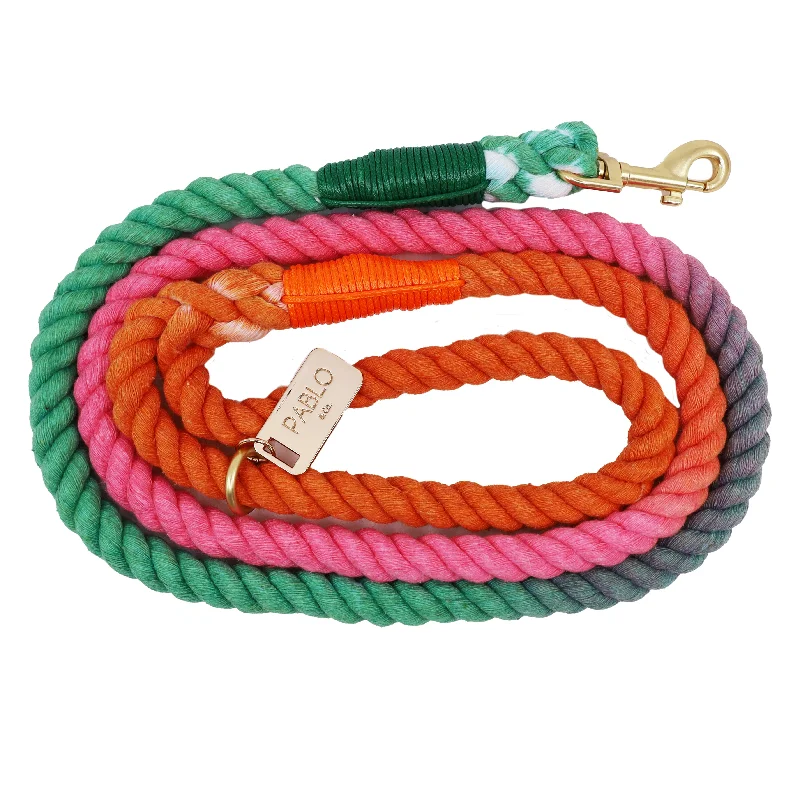 - Summer pet ice matRope Leash - Summer Vibes