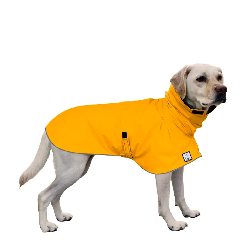 Pet anti-flea collarLabrador Retriever Raincoat