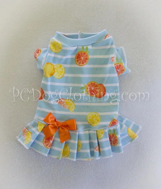 Pet easy-to-wear and take-off design clothesFruity T-Shirt Dress